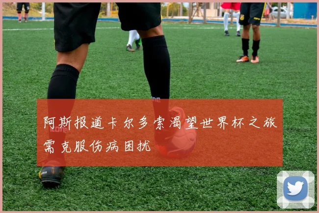 阿斯报道卡尔多索渴望世界杯之旅需克服伤病困扰