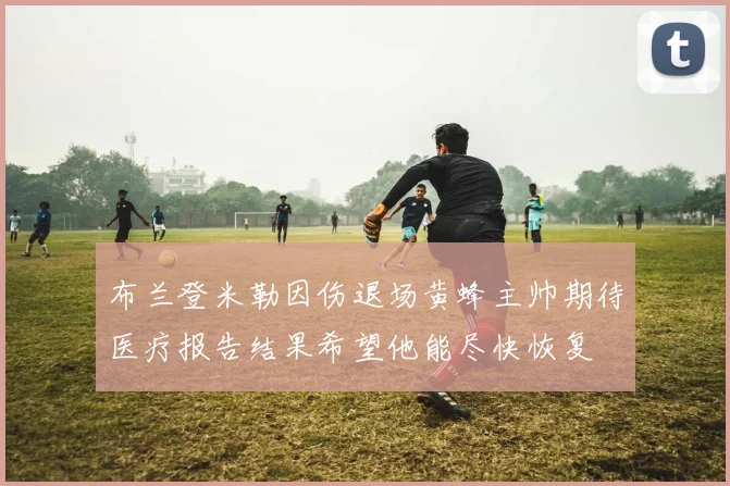 布兰登米勒因伤退场黄蜂主帅期待医疗报告结果希望他能尽快恢复