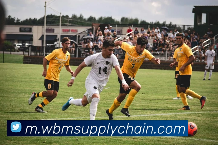 星空体育APP 封面图